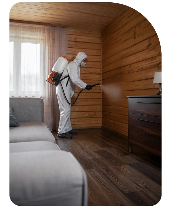 Профессиональная дезинфекция дачи в Пушкине по цене от 4668 р. | Сенат-Пшк